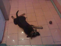 08082010708.webp