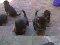 11062010647.webp