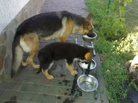 18072010694.webp