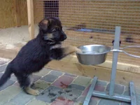 19062010665.webp