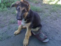 30072010704.webp