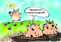 .webp