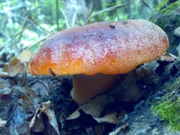 24092010947.jpg