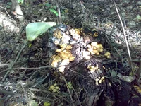 24092010950.webp