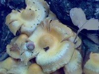 24092010951.jpg