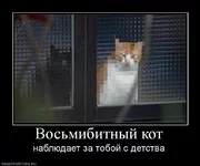 932221_vosmibitnyij-kot.webp
