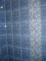 P9230276.webp