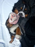 DSCN35200.webp