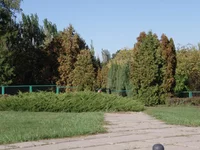 P9250126.webp