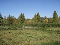 P9250129.webp