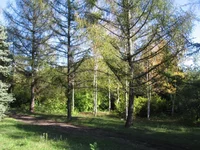  237.webp
