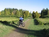  244.webp