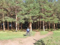  249.webp