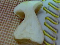 26092010964.jpg