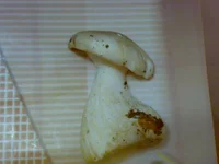 26092010965.webp