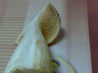 26092010967.jpg