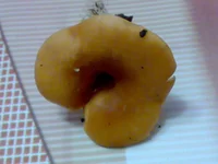 26092010968.webp