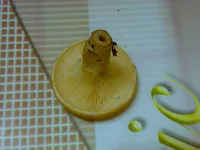 26092010974.webp