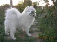 DSCN5768.webp