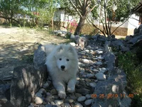 DSCN5719.webp