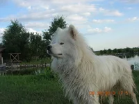 DSCN3902.webp