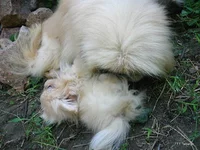 16.09.2010 Дом дети Котя 037.webp