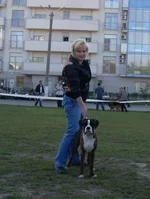  выставка 26 сентября 2010 002.webp