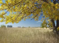 _9263674-small1.webp