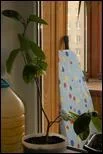 3288460_DSC_0051.webp