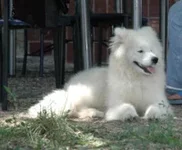 94022-10f72-33220479-200.webp
