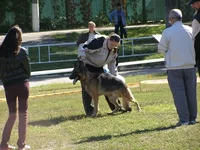 x_eb153453.webp