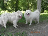 DSCN3336.webp