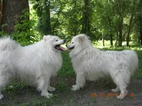 DSCN3338.webp