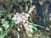 25092010535.webp