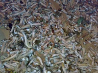 25092010537.webp