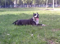 11012009955-001.webp