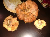 IMAG0156.jpg