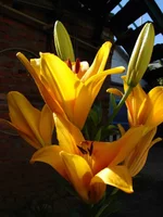 DSC05604.jpg