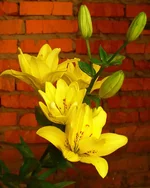 2.webp