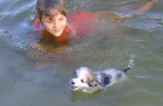 Dog 5 .webp