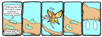 0PBF16054BC-Butterflies.jpg