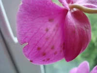 DSC05944.jpg