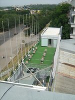 IMG_7351.jpg