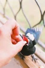 000047_2.webp