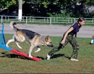 128200-13e25-36459422-h200.webp