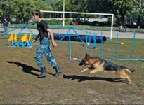 128200-347fc-36459464-h200.webp