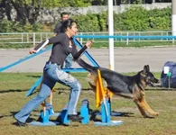 128200-d051b-36459446-h200.webp