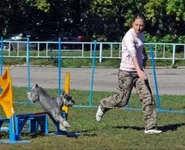 128200-86259-36459500-h200.webp