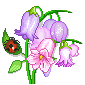 s11757.gif
