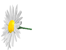 s8519.gif